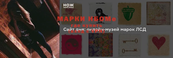 ПСИЛОЦИБИНОВЫЕ ГРИБЫ Няндома