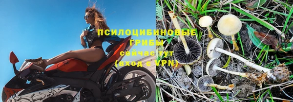 стафф Белоозёрский