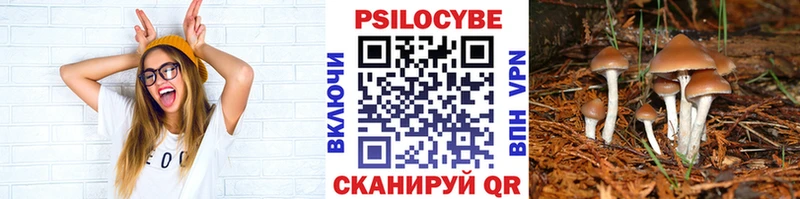 магазин продажи   Северск  Псилоцибиновые грибы MAGIC MUSHROOMS 