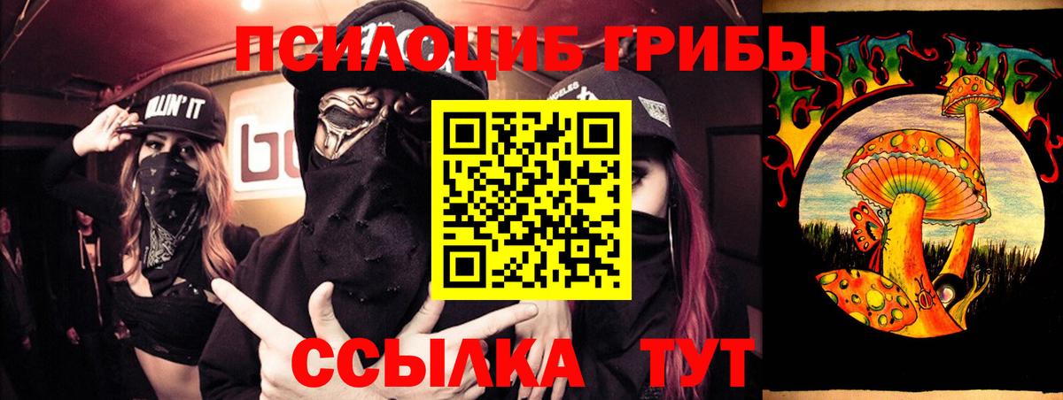 Псилоцибиновые грибы ЛСД Северск