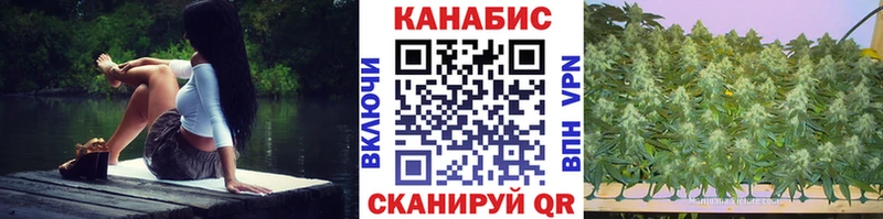Бошки Шишки план Северск